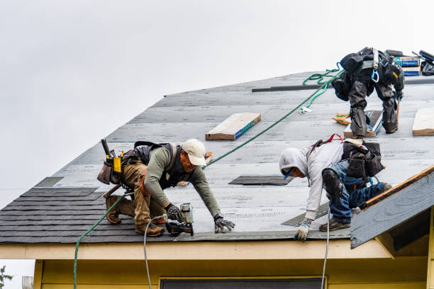 Professional Storm Damage Roof Repair technician working in Millican, TX